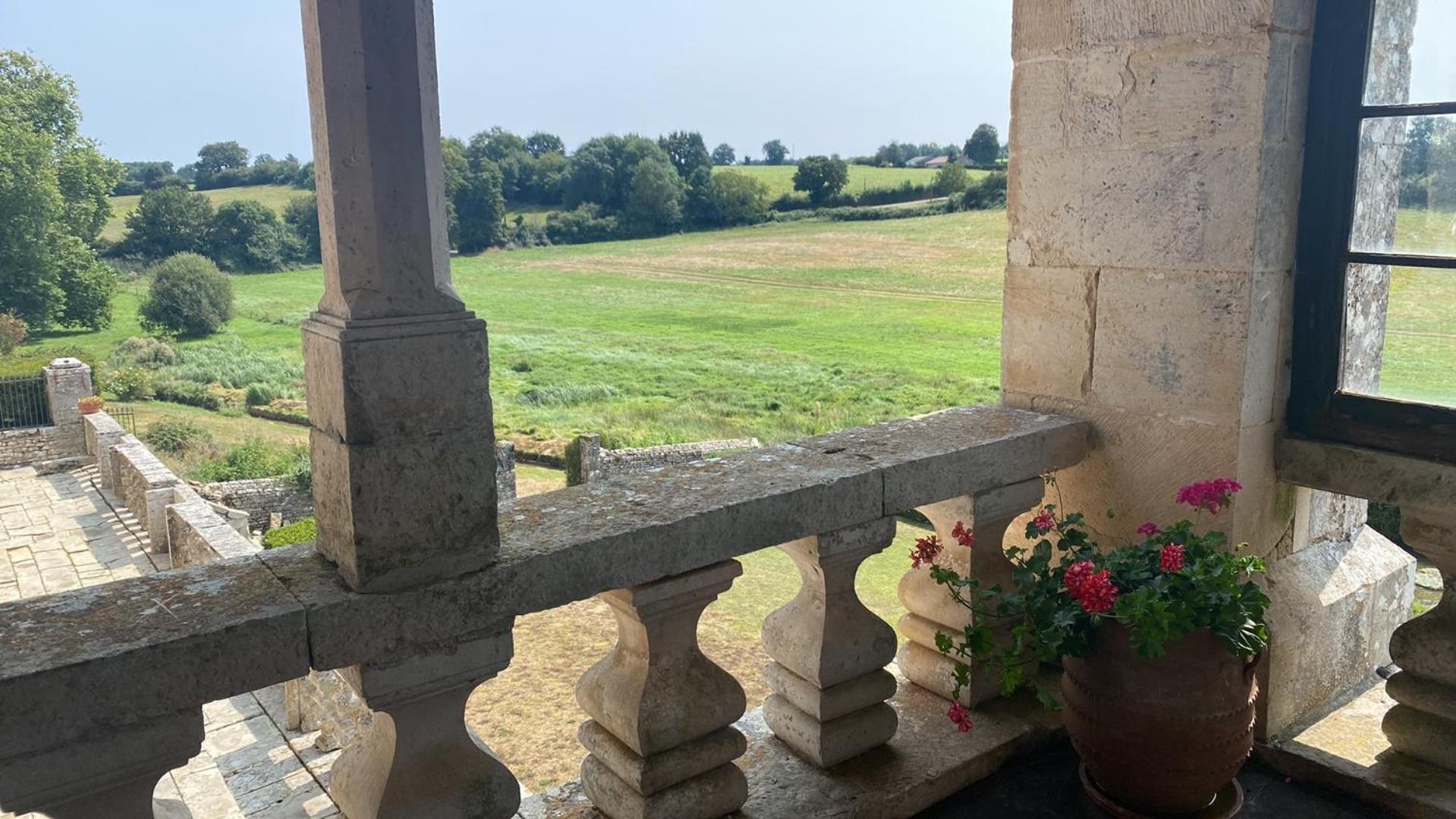 Chateau De Cibioux Surin  エクステリア 写真