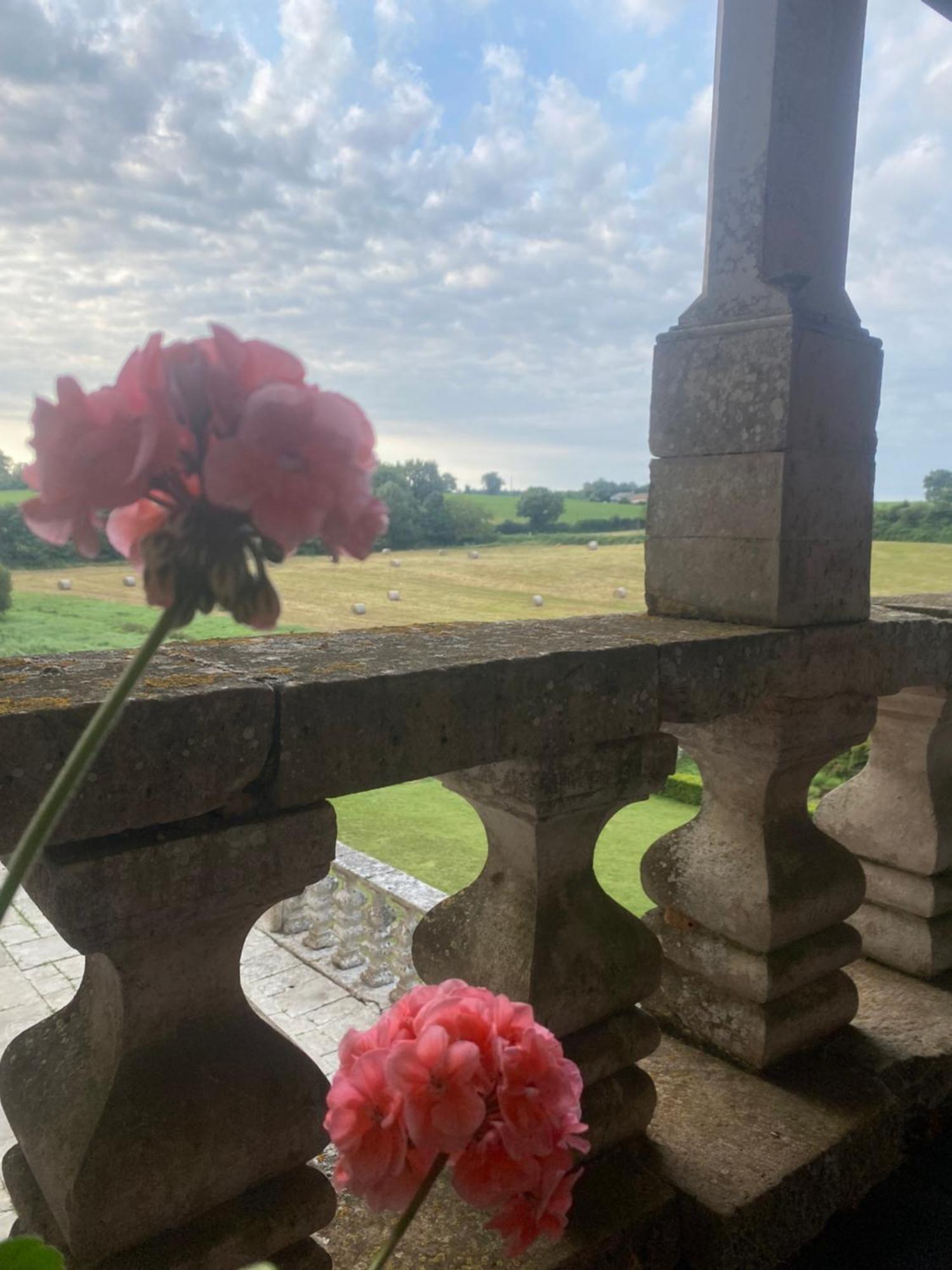 Chateau De Cibioux Surin  エクステリア 写真